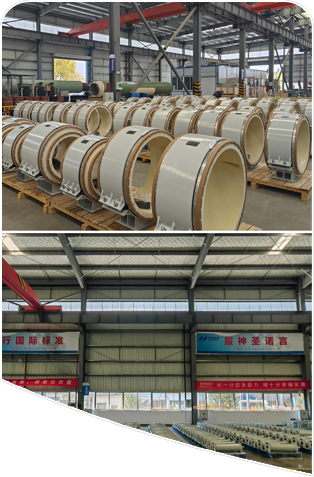 巴斯夫湛江一体化基地项目