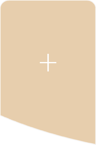 巴斯夫湛江一体化基地项目